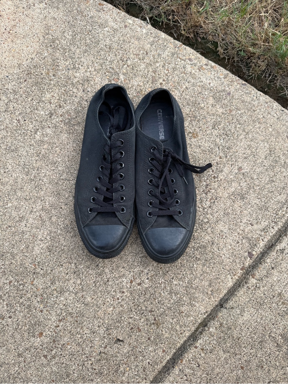 Converse Low Top Canvas Sneakers in Black